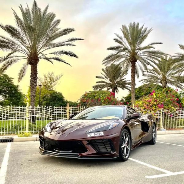 Chevrolet Corvette 2021 (Brown)
