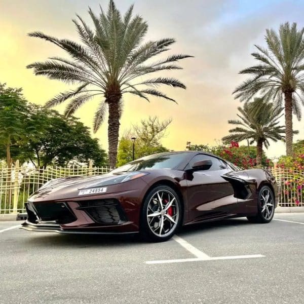 Chevrolet Corvette 2021 (Brown) - Image 4