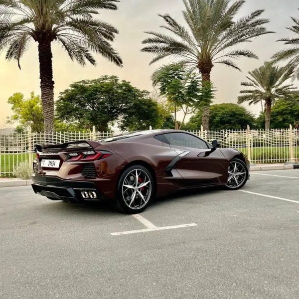 Chevrolet Corvette 2021 (Brown) - Image 8