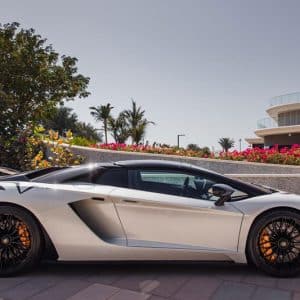 Lamborghini Aventador Svj (White)