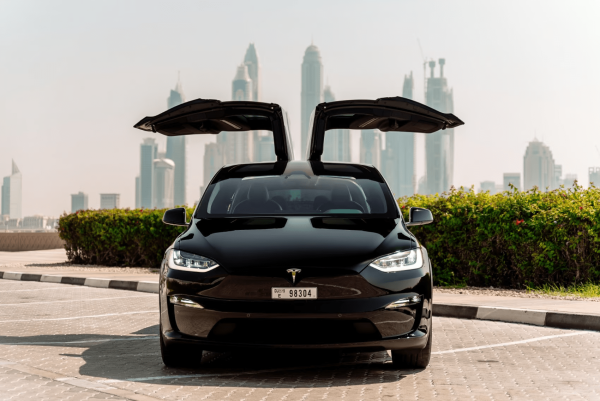 Rent Tesla Model X Plaid (Black), 2022 in Dubai - Image 7